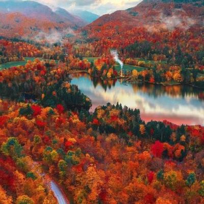 澳门一码一肖一特一中app下载