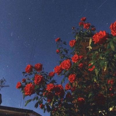 爱游戏app官方网站