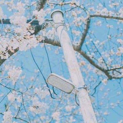 足球赌注软件手机app下载