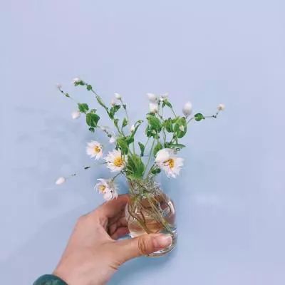 彩信平台官网手机app下载