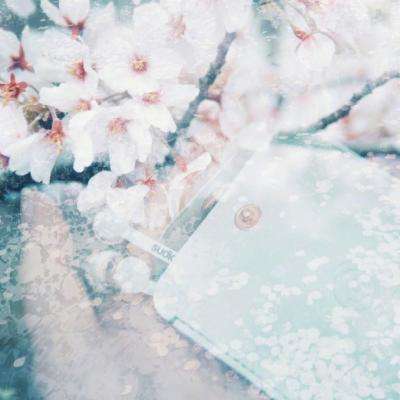 户员可以补办户口吗