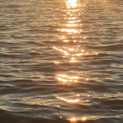 皇冠2登录平台首页